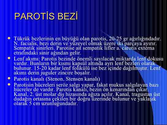 Parotis Bezi